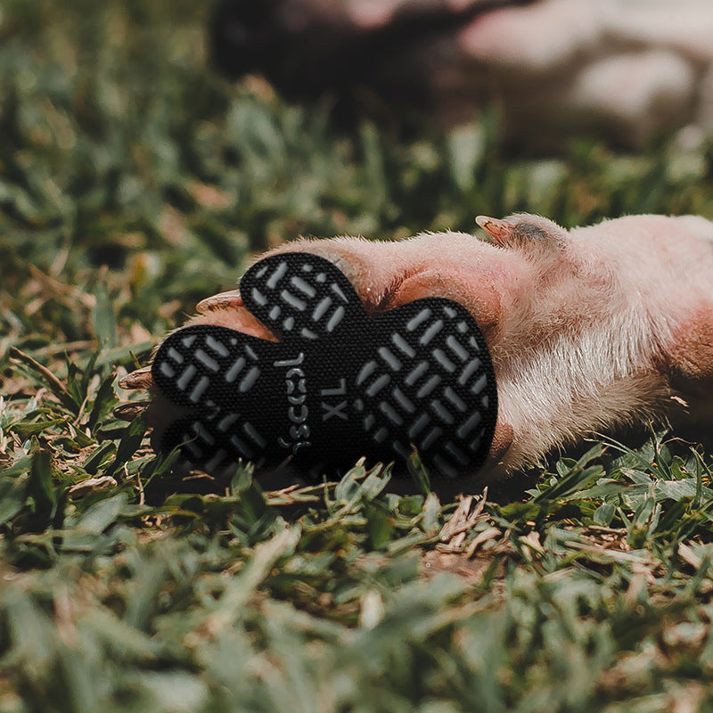 New Pet Foot Stickers Waterproof and Dirty proof Dog Shoes Teddy Insole Summer Leisure Breathable Pet Dog Shoes