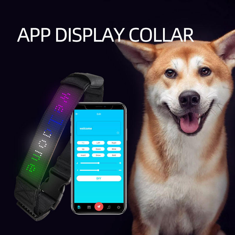 LED Light-Emitting Pet Collar Display Editable Rechargeable Traction Type Anti-Loss LED Pet Dog Display Collar