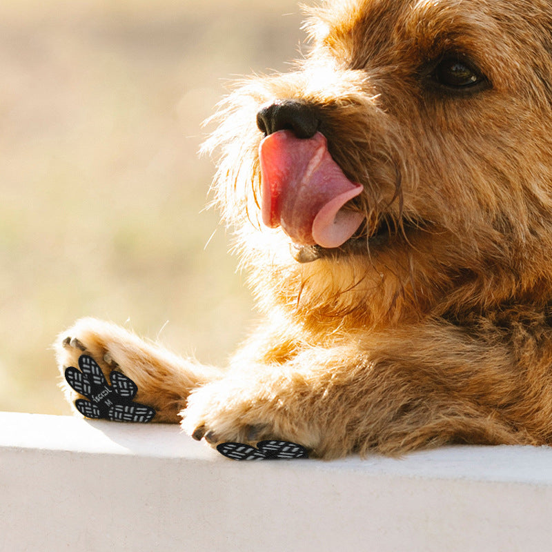 New Pet Foot Stickers Waterproof and Dirty proof Dog Shoes Teddy Insole Summer Leisure Breathable Pet Dog Shoes