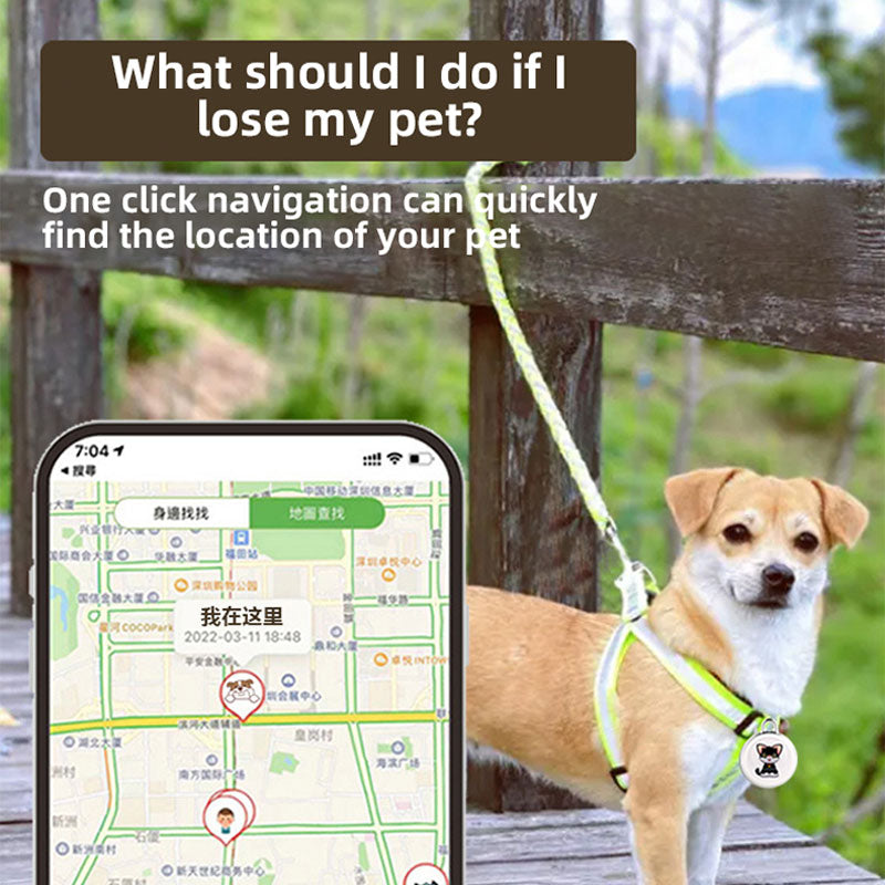A Pet Loss Preventer Global Positioning Airtag Loss Preventer Cat and Dog Intelligent Tracking Loss Preventer Pet Collar