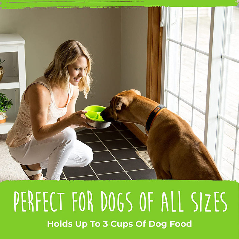 Mighty Paw Slow Feeded Pet Slow Feeder Puzzle Maze Feeder