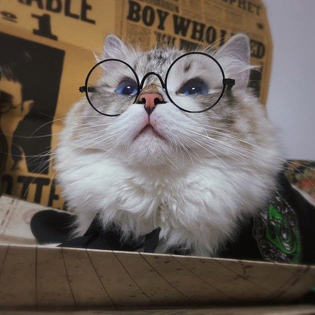 Factory wholesale Pet Cute high quality cloak decoration for Halloween