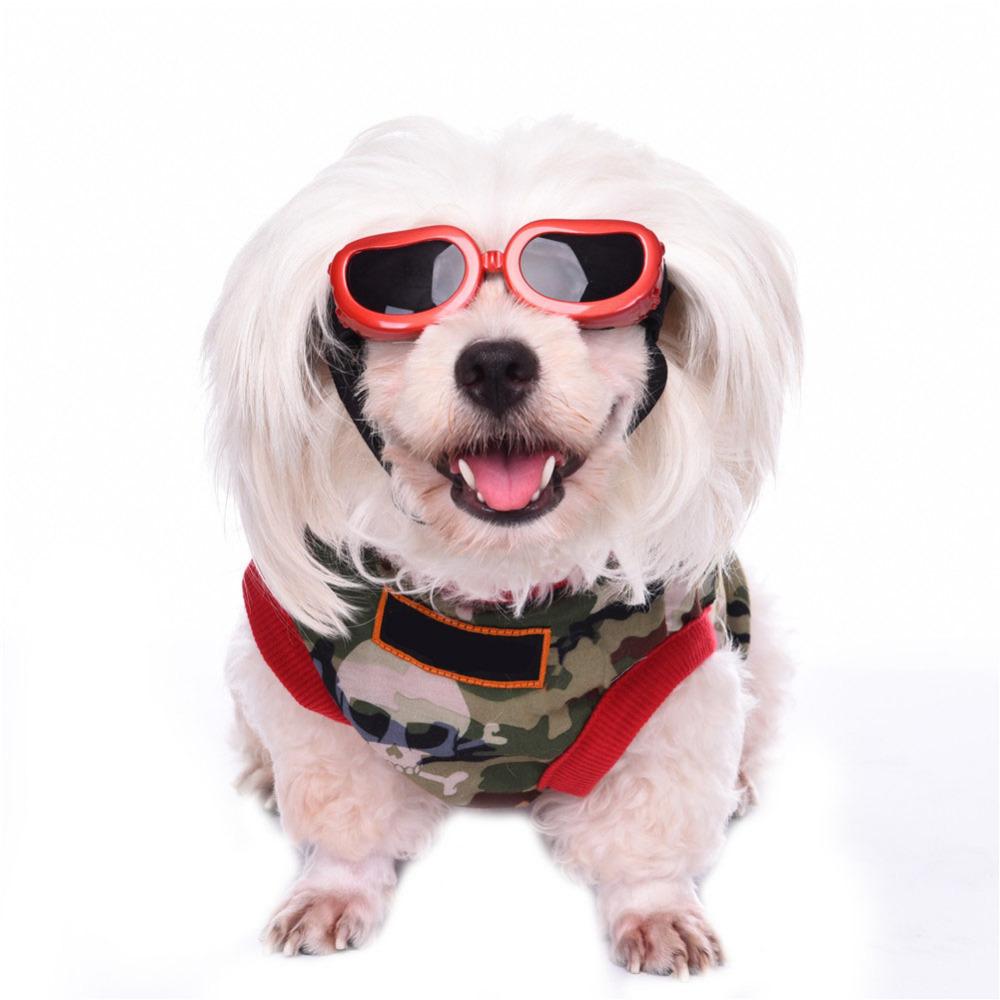 9 a motorcycle Sunglasses Eye Protection For Pets