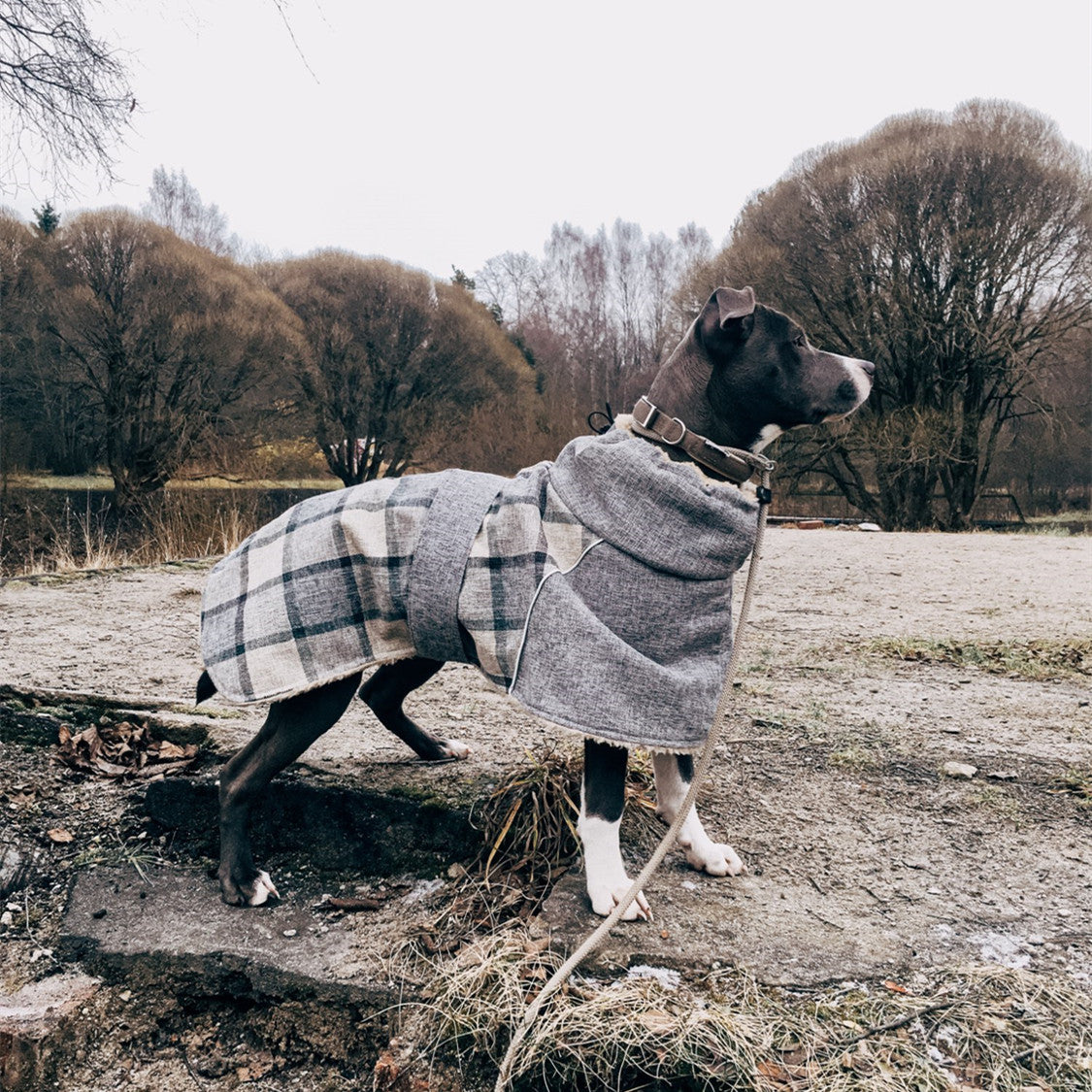 Pet Clothes Autumn And Winter New Plaid Jacket Cold Cotton Coat Pet Supplies