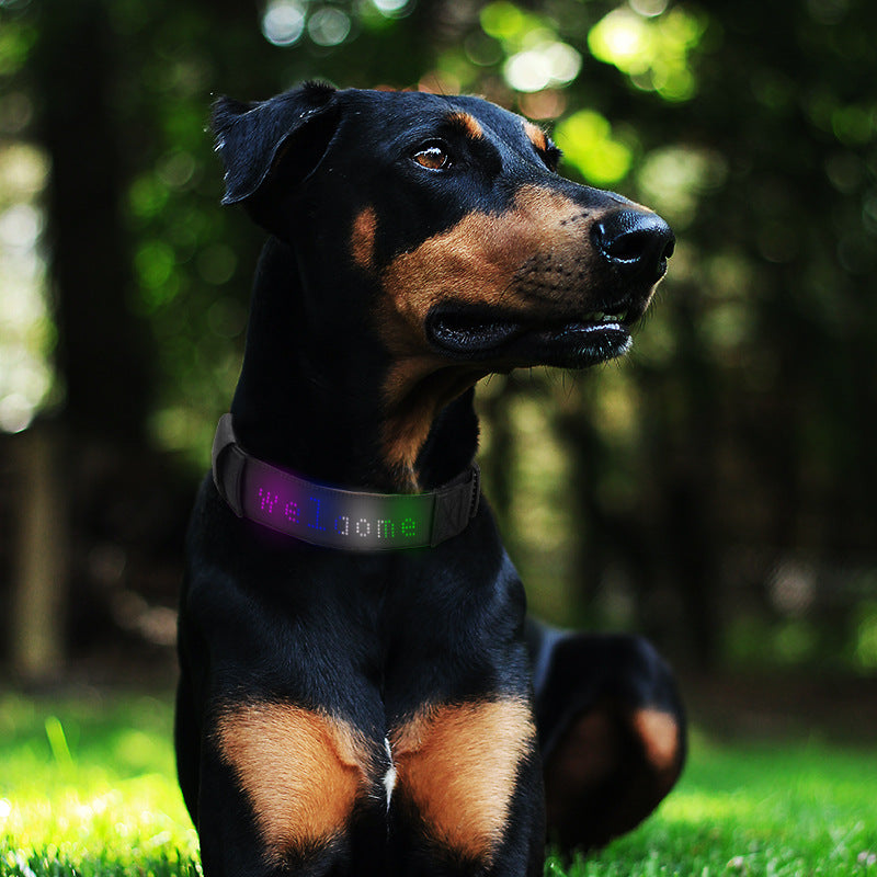 LED Light-Emitting Pet Collar Display Editable Rechargeable Traction Type Anti-Loss LED Pet Dog Display Collar