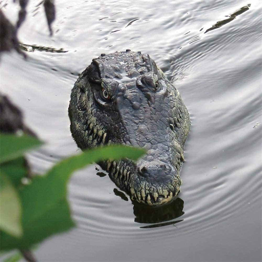 RC toy alligator remote control toys alligator Crocodile head crocodilian robot simulation animal scary Toys