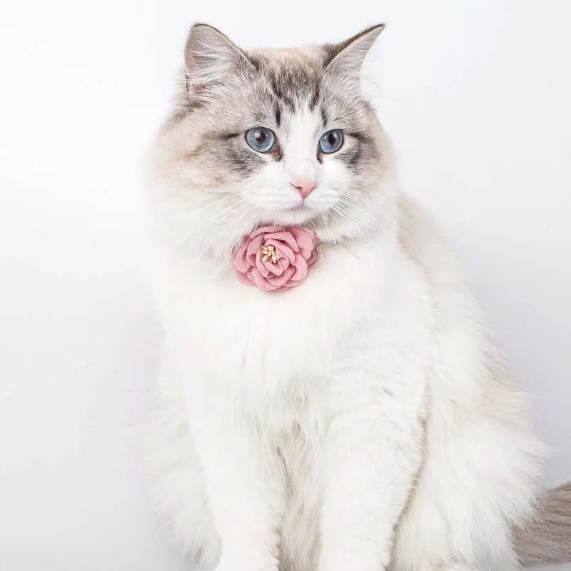 Pet Collars For Dogs And Dog Harness With Leash Set Flower Cat Collars Leads Puppy Vest Dog Accessories Cat Supplies Pink Blue