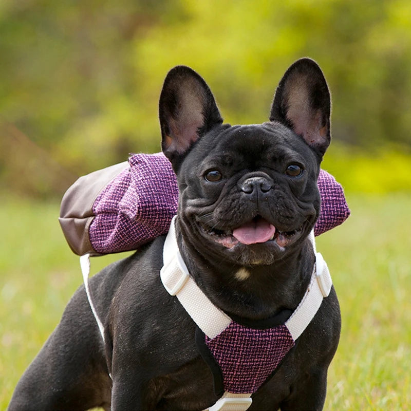 A Dog Harness Pet Puppy Backpack Breathable Adjustable Snack Bag Pet Puppy Harness Vest School Bag