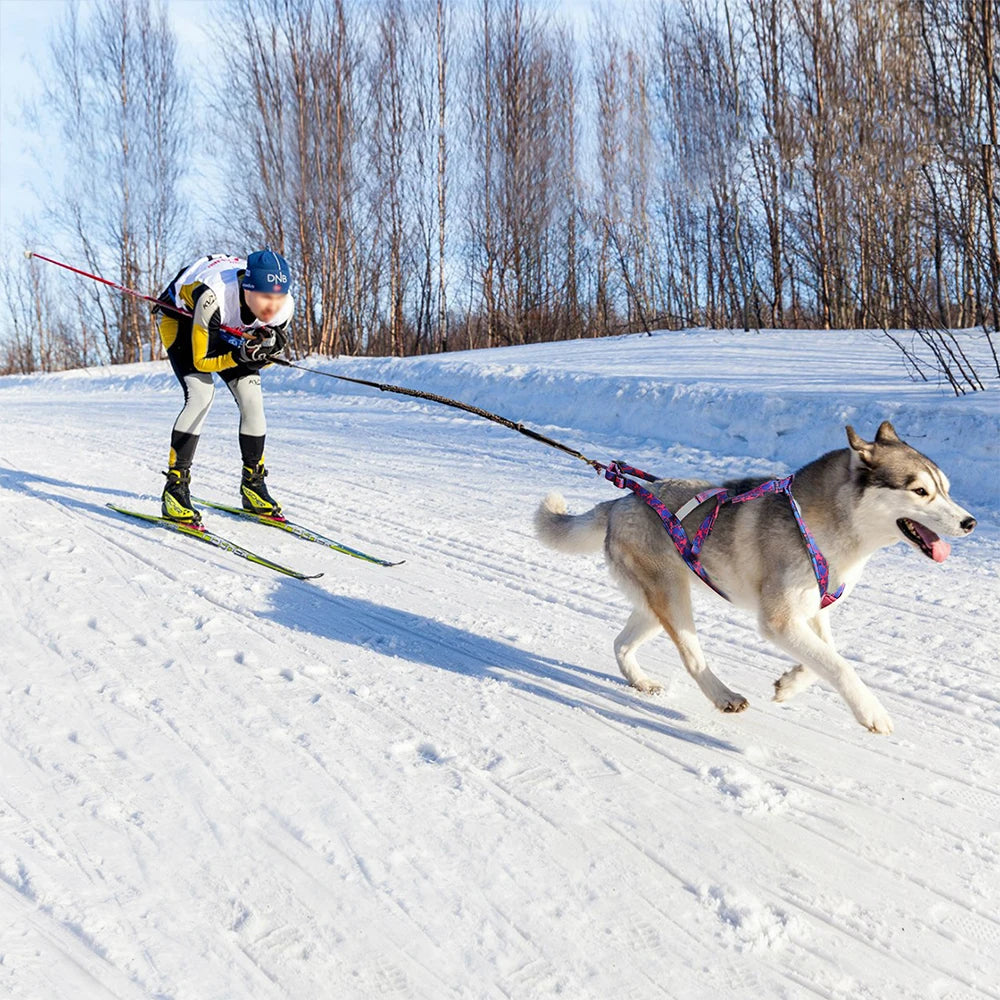 a34Dog Sled Harness Reflective Dog Weight Pulling Harnesses Adjustable Pet Training Sleding Harness For Medium Large Dogs Skijoring