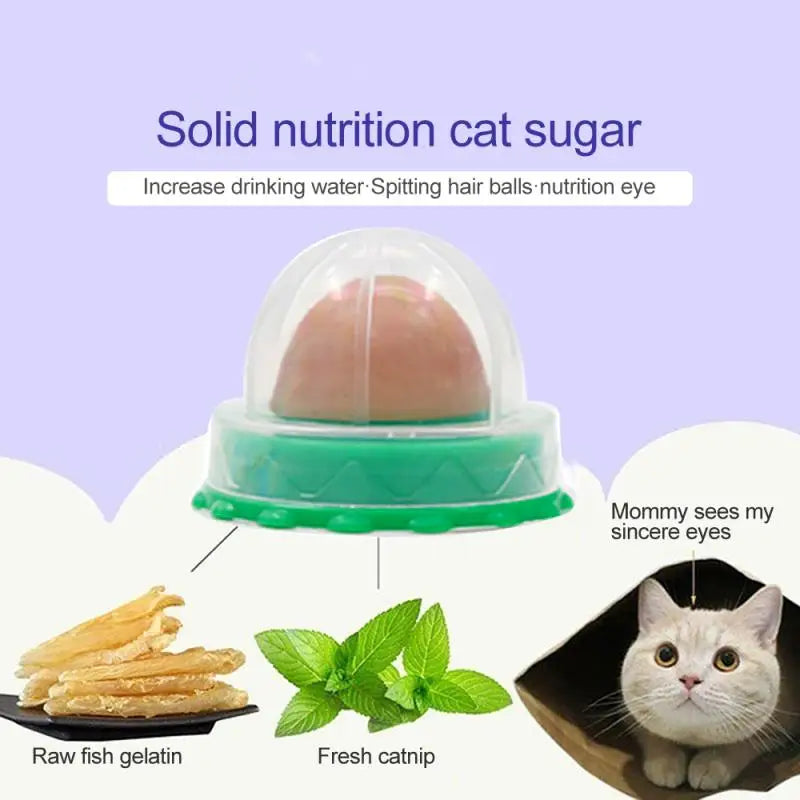 Healthy Nutrition Pet Snacks Cat Sugar Candy Licking Energy Ball Toy Gel Solid Cat Treats Natural Catnip Sucker For Cat Supplies