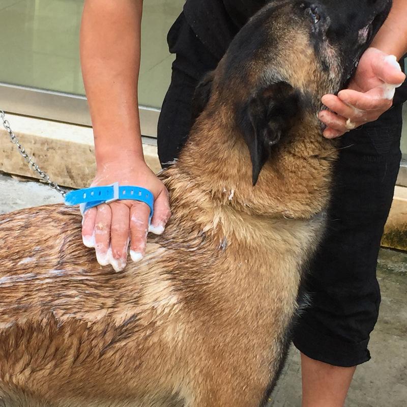 A A Multi-function Pet Products Shower Wash Dog Artifact Spray Massager Jin Mao Teddy Pet Products