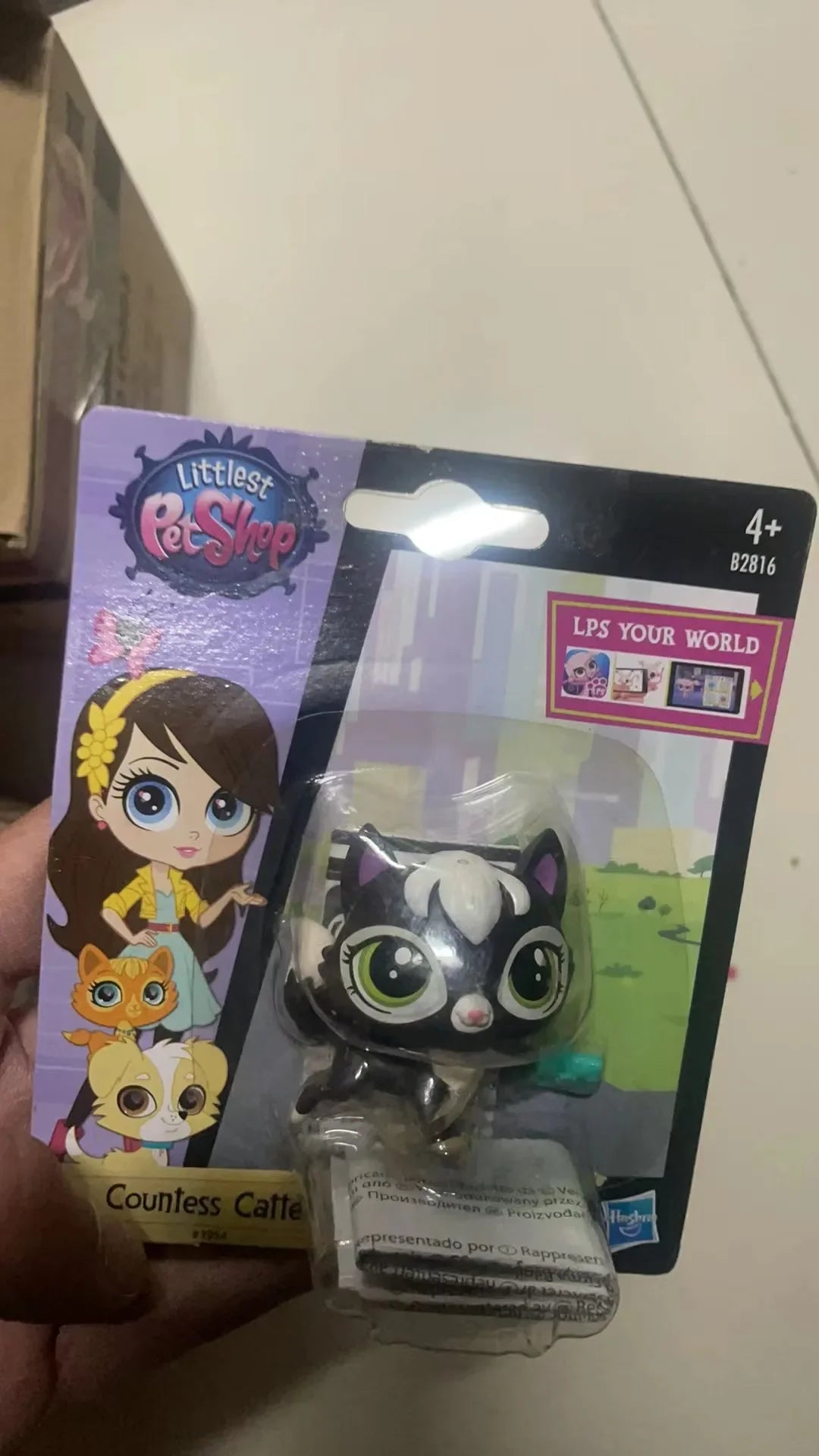 Hasbro Littlest Pet Shop CAT Rare Toy Dolls Stands Short Hair Figures Collection Original Bobble Head Toys for Kids Gifts