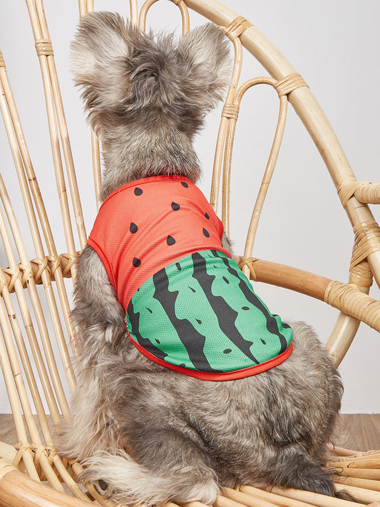 New Cartoon Pet Vest Thin Section Breathable Small Dog Teddy Dog Cat Pet Clothes