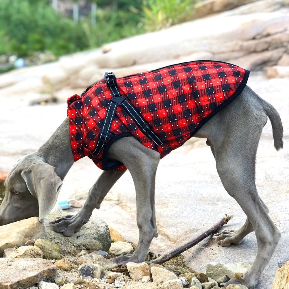 A Autumn And Winter New Pet Clothes Christmas Big Dog Clothes Thickened Warm Dog Cotton Clothes Pet Clothing