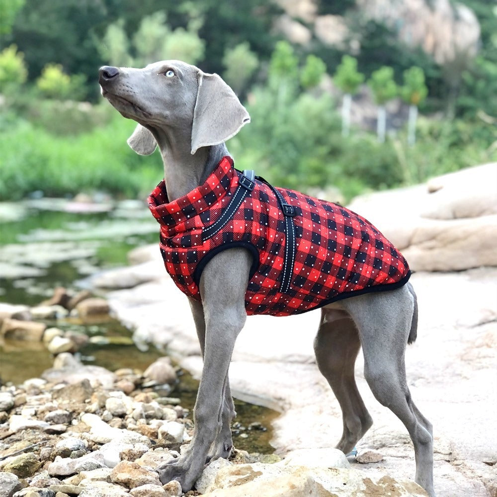A Autumn And Winter New Pet Clothes Christmas Big Dog Clothes Thickened Warm Dog Cotton Clothes Pet Clothing