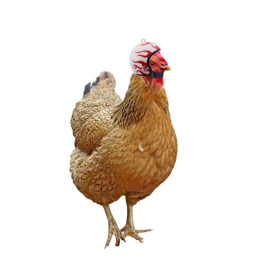 New Helmet Chicken Pet Supplies Funny Helmet Chicken Hat Chicken Helmet Protection Pet Chicken Headgear