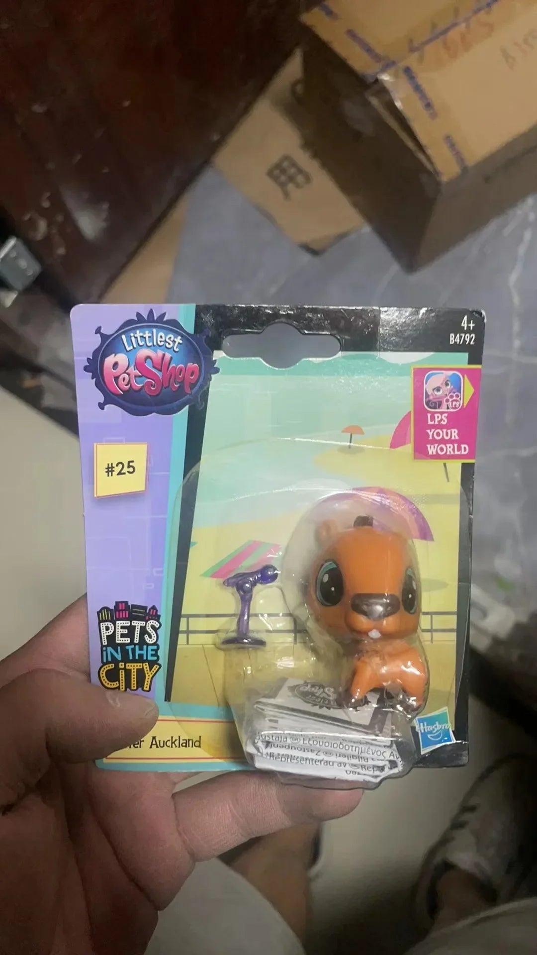 Hasbro Littlest Pet Shop CAT Rare Toy Dolls Stands Short Hair Figures Collection Original Bobble Head Toys for Kids Gifts