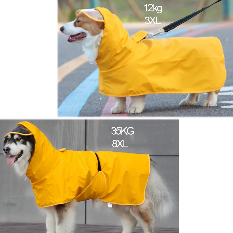 S4066458a10564f3d9bbe9a9519e794ca4