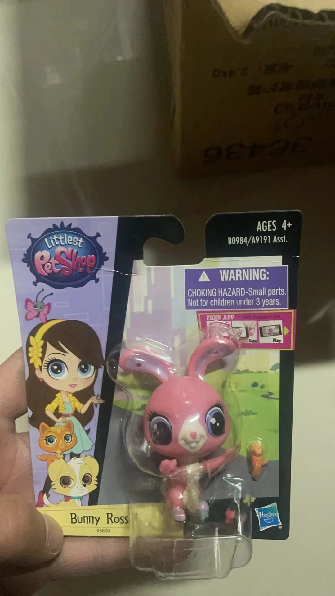 Hasbro Littlest Pet Shop CAT Rare Toy Dolls Stands Short Hair Figures Collection Original Bobble Head Toys for Kids Gifts