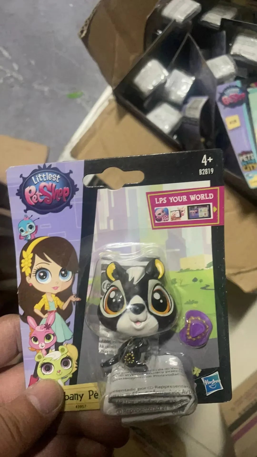 Hasbro Littlest Pet Shop CAT Rare Toy Dolls Stands Short Hair Figures Collection Original Bobble Head Toys for Kids Gifts