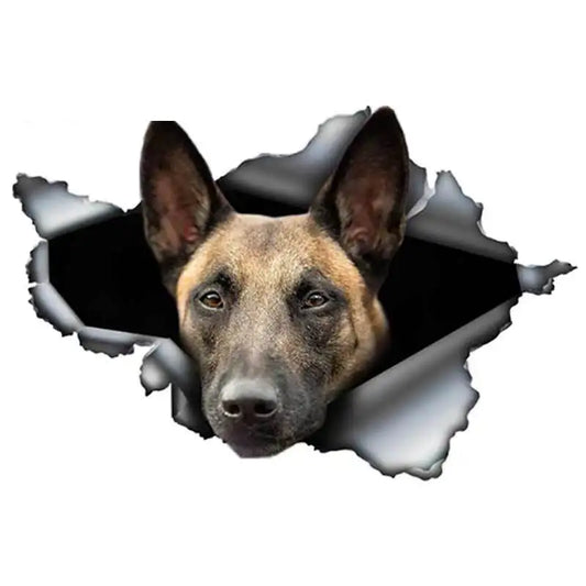 13x8.8cm Belgian Malinois Car Sticker Torn Metal Decal Reflective Stickers Waterproof Belgian Shepherd Pet Dog 3D Decals