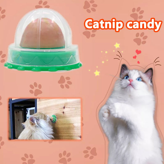 Healthy Nutrition Pet Snacks Cat Sugar Candy Licking Energy Ball Toy Gel Solid Cat Treats Natural Catnip Sucker For Cat Supplies